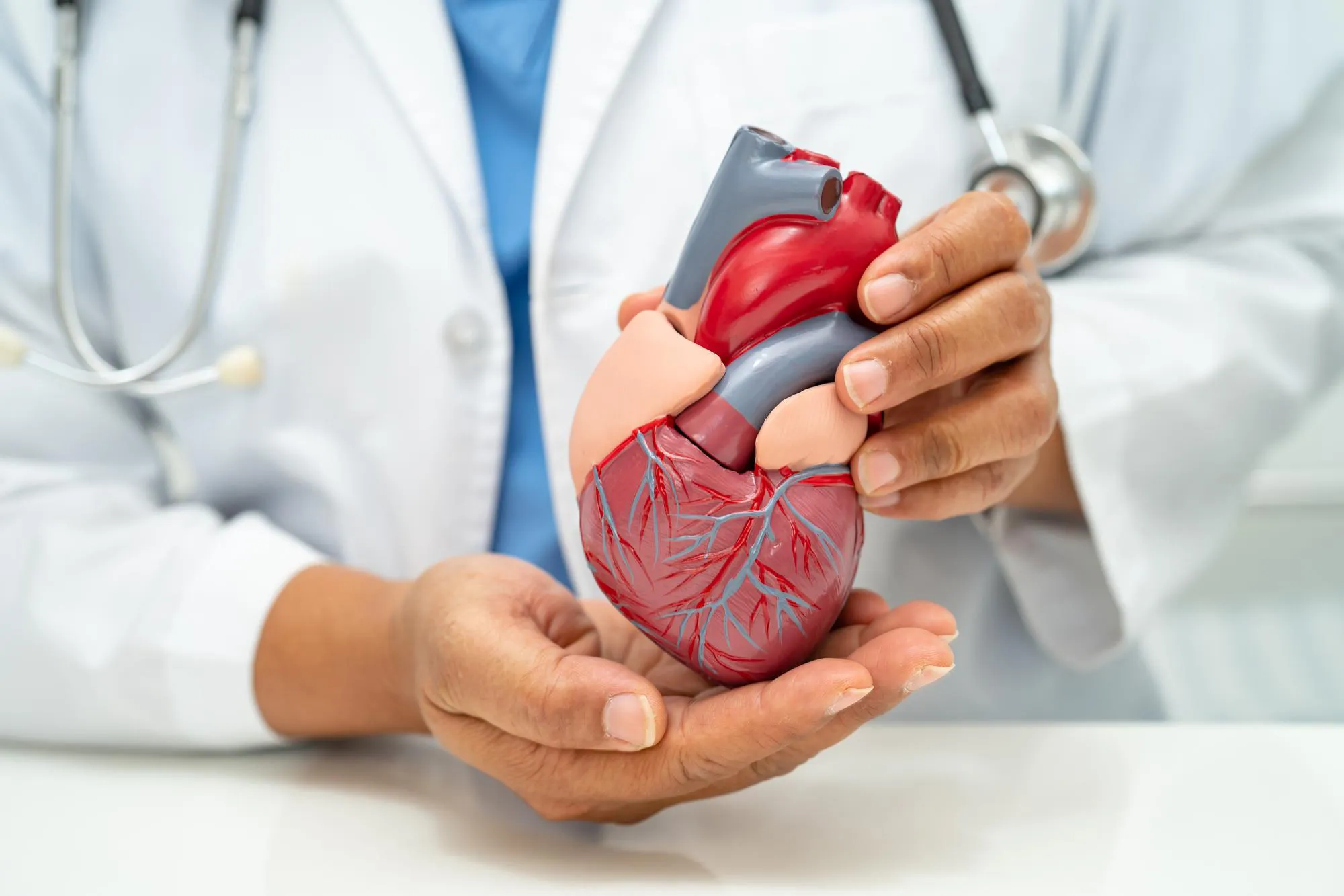 Cardiology (Heart Care)